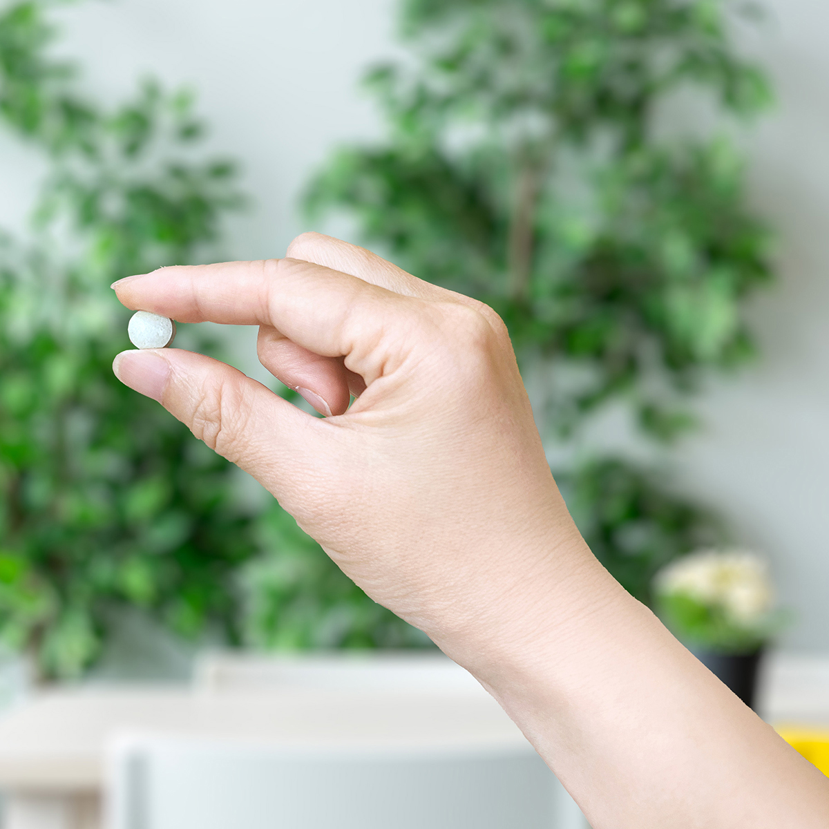 二仁堂草本潤喉糖錠 隨行包:圖片 5